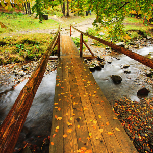 Small wooden bridge near Shypot waterfall in forest